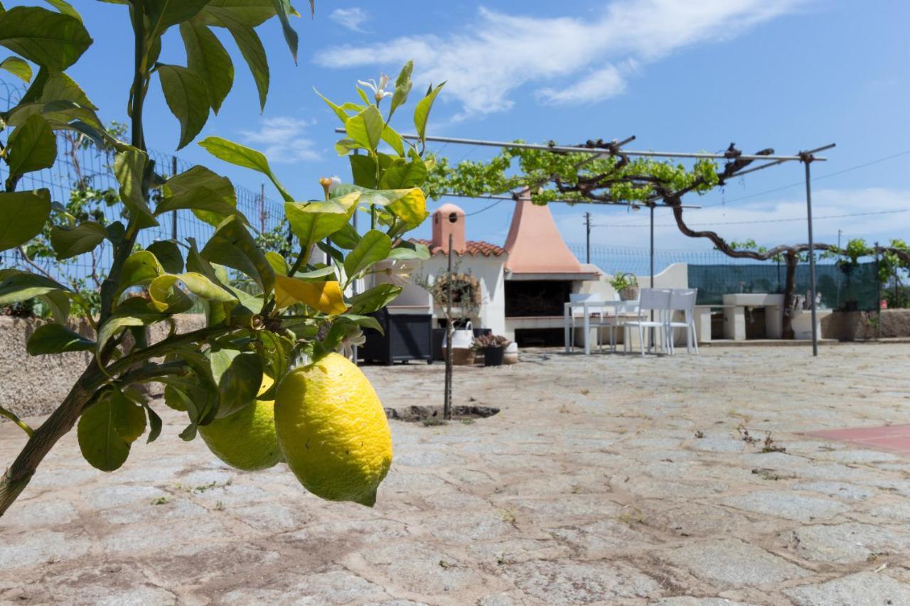 1 - Villa Is Orrosas - Apartments 1 - Sa Crai Apartments Sardinian Experience ล็อตโซไร ภายนอก รูปภาพ